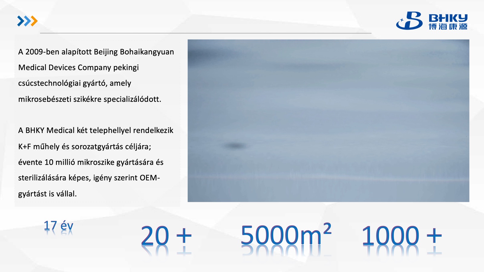 A vállalat bemutatása